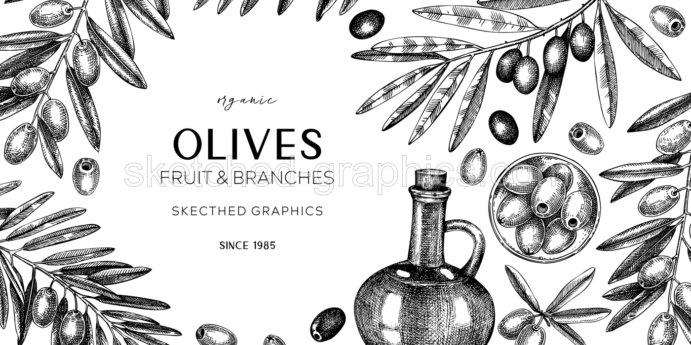 Olive oil banner design. Olives, tree branches, oil bottle sketches. Mediterranean food background in vintage style. Hand-drawn vector illustration. NOT AI generated. Illustration